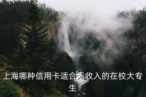 上海哪種信用卡適合無收入的在校大專生