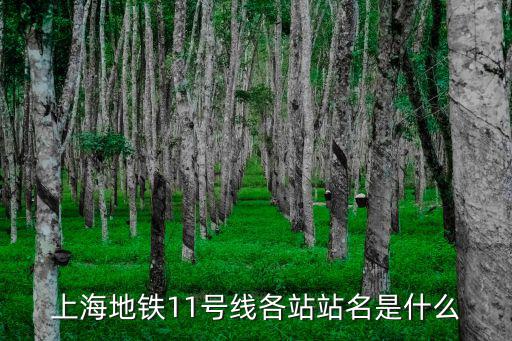 上海市地鐵11號線的終點站，上海11號線分叉需要換乘嗎