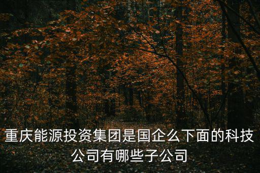 重慶能源投資集團是國企么下面的科技公司有哪些子公司