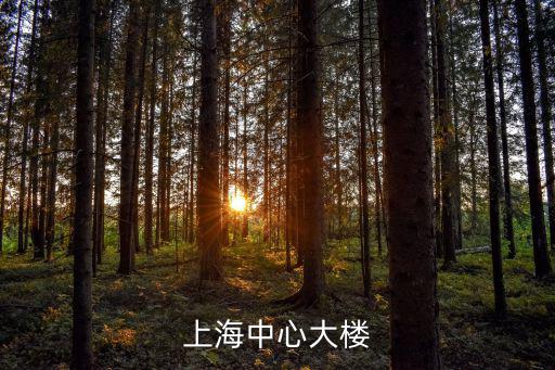 上海中心大樓