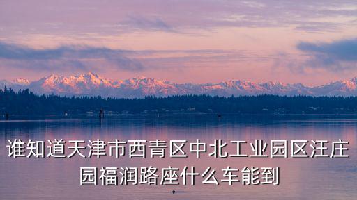誰知道天津市西青區中北工業園區汪莊園福潤路座什么車能到