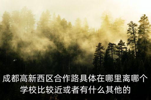 成都高新西區(qū)合作路具體在哪里離哪個學(xué)校比較近或者有什么其他的