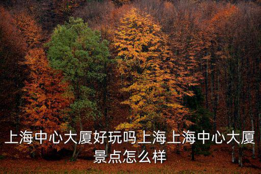 上海中心大廈優缺點，如何看待上海建造上海中心大樓