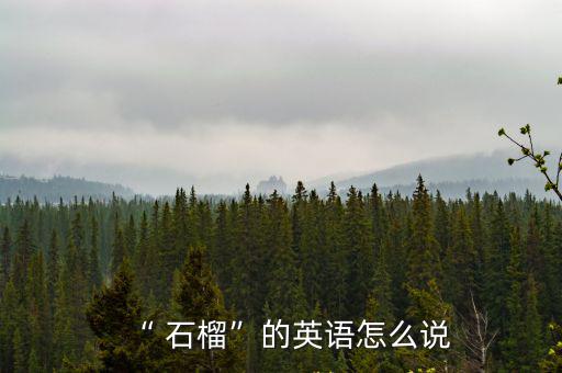 “ 石榴”的英語怎么說