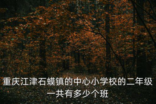 重慶江津石蟆鎮(zhèn)的中心小學(xué)校的二年級(jí)一共有多少個(gè)班