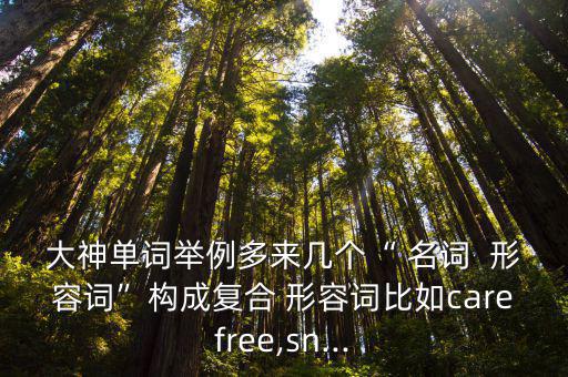 大神單詞舉例多來幾個“ 名詞  形容詞”構成復合 形容詞比如carefree,sn...