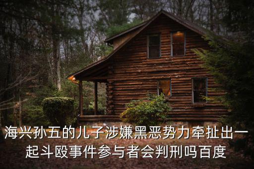 天津市尋釁滋事公開宣判，海興孫五的兒子涉嫌黑惡勢力牽扯出一起斗毆事件參與者會判刑嗎百度