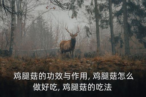  雞腿菇的功效與作用, 雞腿菇怎么做好吃, 雞腿菇的吃法
