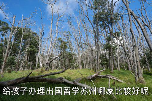 蘇州留學(xué)機(jī)構(gòu)排名比較靠前的，蘇州留學(xué)的權(quán)威機(jī)構(gòu)有那些