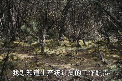 統(tǒng)計員崗位職責，統(tǒng)計員主要做什么工作