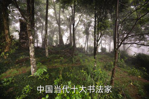 中國當代十大書法家