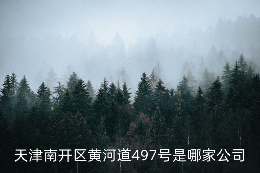天津南開區黃河道497號是哪家公司
