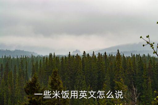 米飯英語，米飯和面條的英文怎么寫