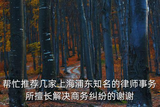 幫忙推薦幾家上海浦東知名的律師事務所擅長解決商務糾紛的謝謝