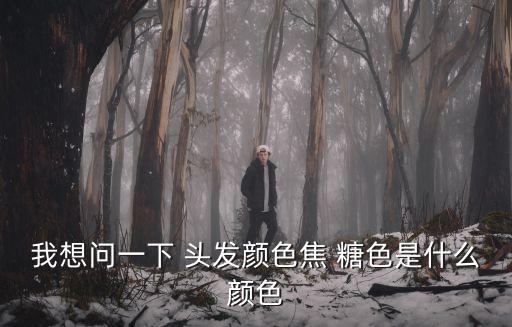 我想問(wèn)一下 頭發(fā)顏色焦 糖色是什么顏色