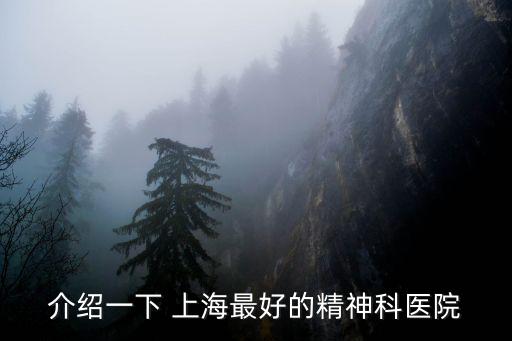 上海市精神衛生中心最好的專家，介紹一下 上海最好的精神科醫院