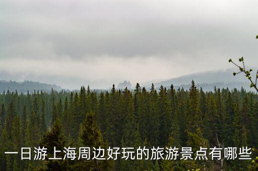 一日游上海周邊好玩的旅游景點有哪些