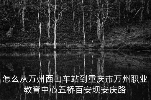 怎么從萬州西山車站到重慶市萬州職業(yè)教育中心五橋百安壩安慶路