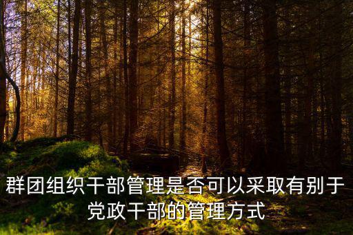 群團組織干部管理是否可以采取有別于黨政干部的管理方式