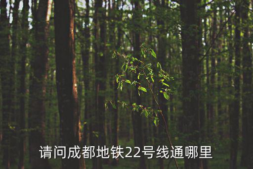 請問成都地鐵22號線通哪里