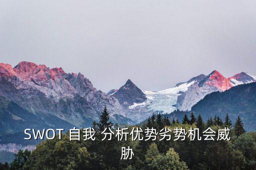 SWOT 自我 分析優勢劣勢機會威脅