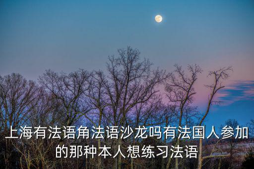 上海有法語角法語沙龍嗎有法國人參加的那種本人想練習法語