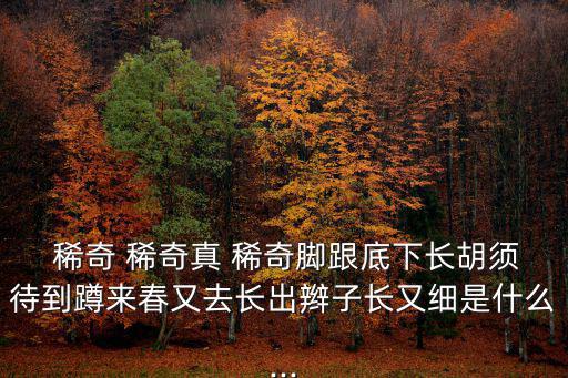  稀奇 稀奇真 稀奇腳跟底下長(zhǎng)胡須待到蹲來(lái)春又去長(zhǎng)出辮子長(zhǎng)又細(xì)是什么...