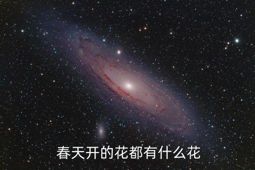 春天開的花有什么,春天盛開的花