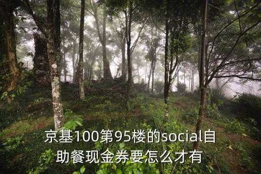 京基100大廈自助餐多少錢，大梅沙京基喜來登酒店自助餐多少錢一位