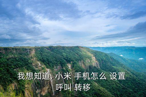小米手機呼叫轉移怎么設置,小米how設置呼叫轉移