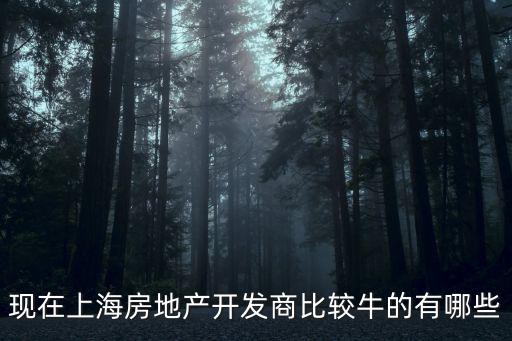 現在上海房地產開發商比較牛的有哪些