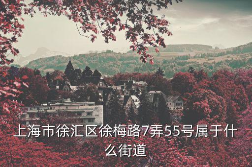 上海市徐匯區梅隴敬老院55號，上海徐匯納入醫保的養老院