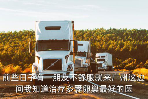 前些日子有一朋友不舒服就來廣州這邊問我知道治療多囊卵巢最好的醫(yī)