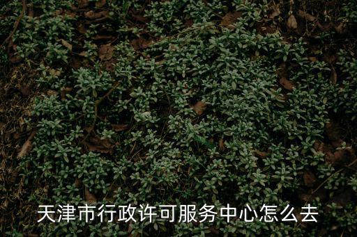 天津市行政許可服務中心怎么去