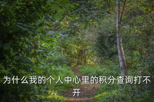 為什么我的個人中心里的積分查詢打不開