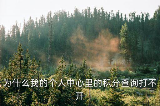 為什么我的個人中心里的積分查詢打不開
