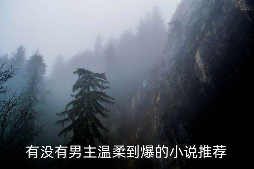 有沒有男主溫柔到爆的小說推薦