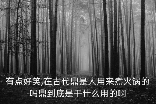 鼎最初的用途,古書載有用鼎制度有王公九鼎之分