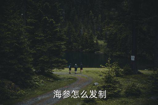 海參怎么發(fā),從海參肚子里掏出干貨!