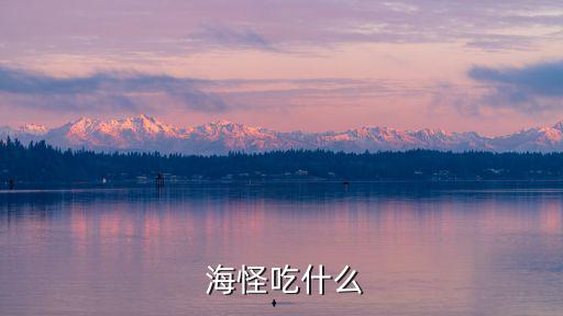 海怪怎么吃,吃寄居蟹可選擇紅燒或者熬湯