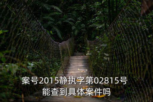 案號(hào)2015靜執(zhí)字第02815號(hào) 能查到具體案件嗎