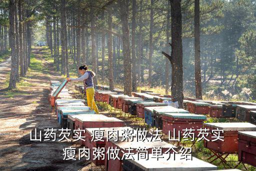  山藥芡實 瘦肉粥做法 山藥芡實 瘦肉粥做法簡單介紹