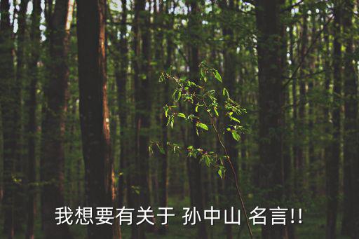 我想要有關于 孫中山 名言!!