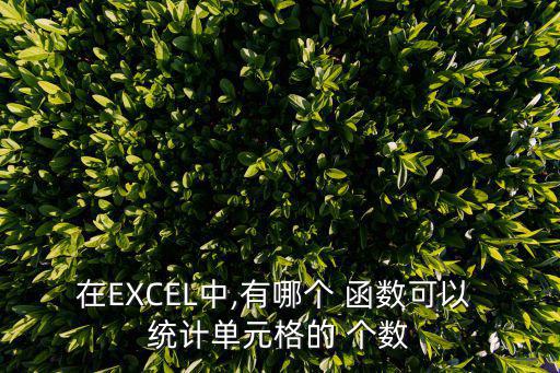 在EXCEL中,有哪個 函數(shù)可以 統(tǒng)計單元格的 個數(shù)