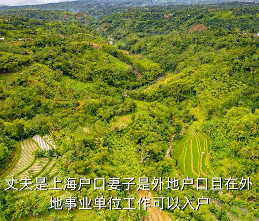 丈夫是上海戶口妻子是外地戶口且在外地事業單位工作可以入戶