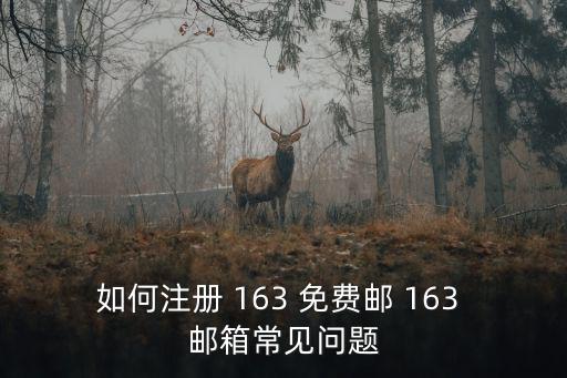 如何注冊(cè) 163 免費(fèi)郵 163 郵箱常見(jiàn)問(wèn)題