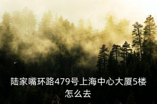 陸家嘴環(huán)路479號(hào)上海中心大廈5樓怎么去