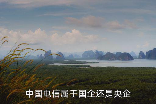 中國電信屬于國企還是央企