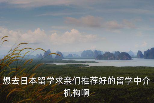 想去日本留學求親們推薦好的留學中介機構啊