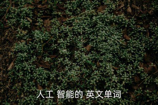 人工 智能的 英文單詞